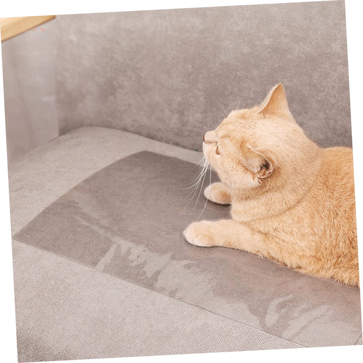 VANZACK 20pezzi Cat Scratch Couch Patch Protezione AntiGraffio per Divano e Mobili Pellicola Adesiva Trasparente per Cat Scratch