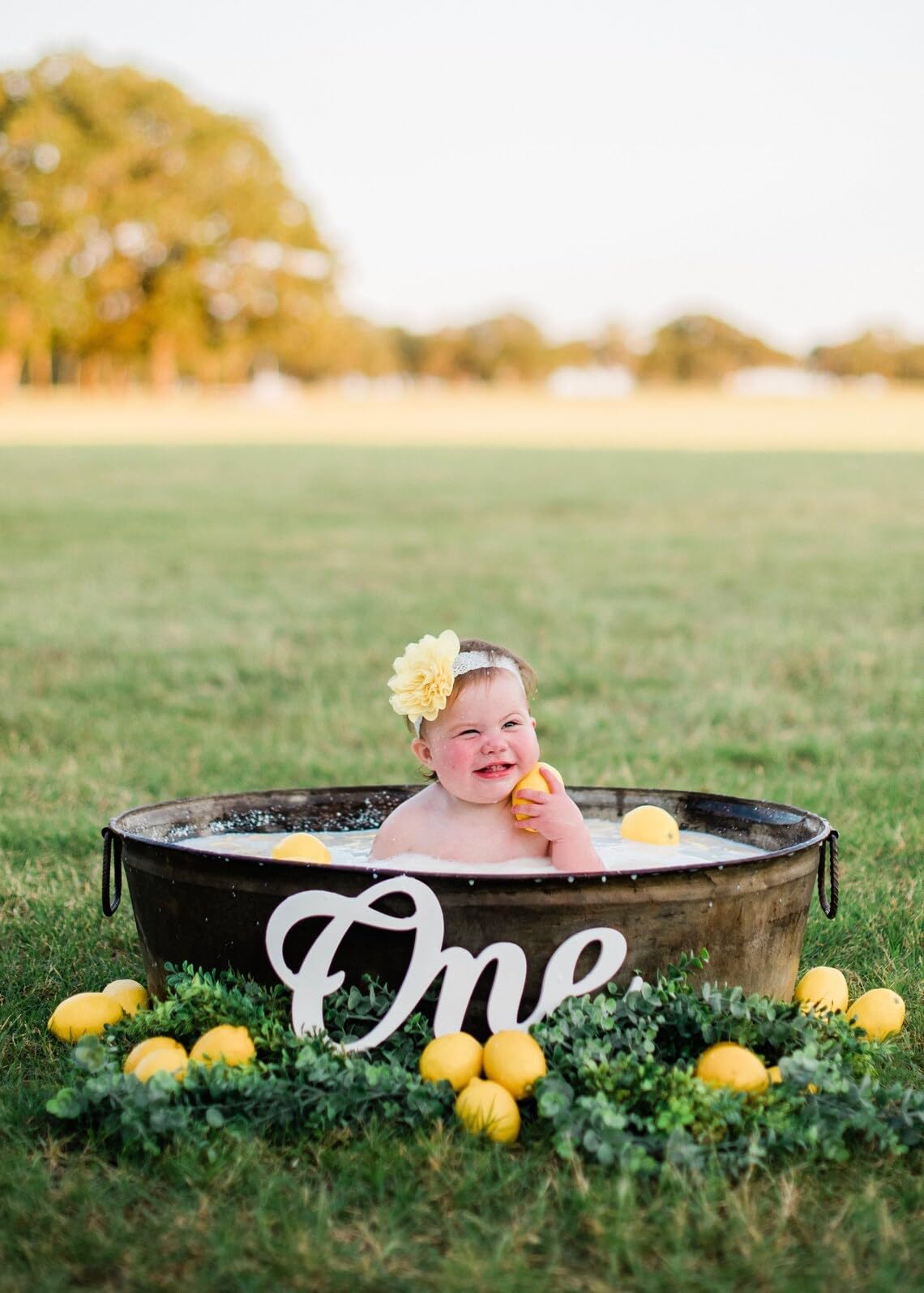 American Elm One Sign WPC Baby Milestone First Birthday Decor Number One Cake Smash Photo Prop Nursery Wall Décor