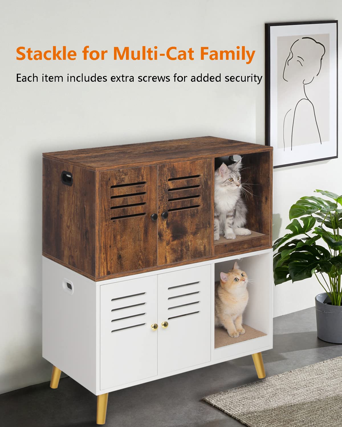 https://m.media-amazon.com/images/I/71I6097tnaL.jpg