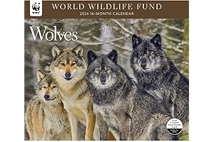 Wolves WWF 2024 Wall Calendar, Calendar Ink