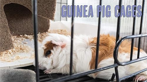 Corrugated Plastic Sheet 18" x 24" x 4mm Coroplast Blank Yard Signs - 25-Pack - White