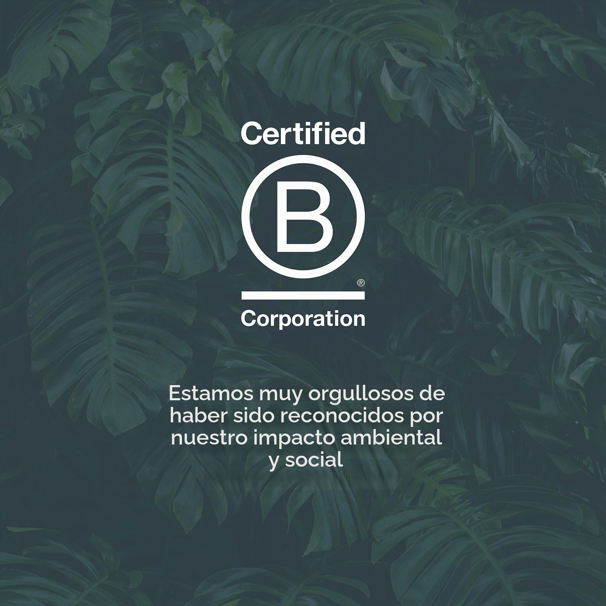 Kit & Kin Pañales ecológicos y sostenibles, talla 5, hipoalergénicos, con capa de secado rápido, veganos y sin cloro, protección superior contra fugas, 120 pañales | Materiales a base de plantas en la piel del bebé, hipoalergénicos, protección superior co