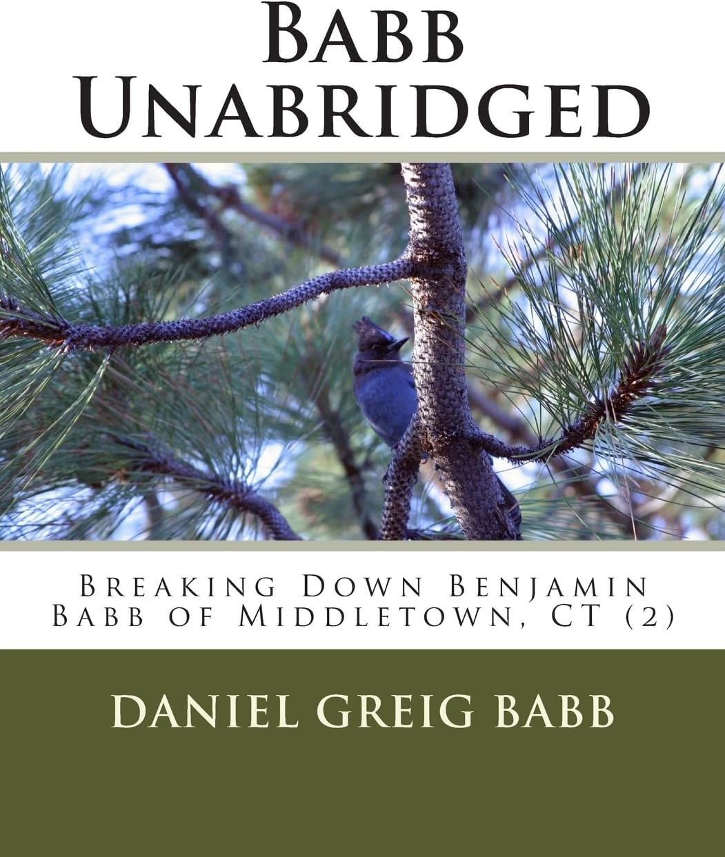 Breaking Down Benjamin Babb of Middletown, Ct