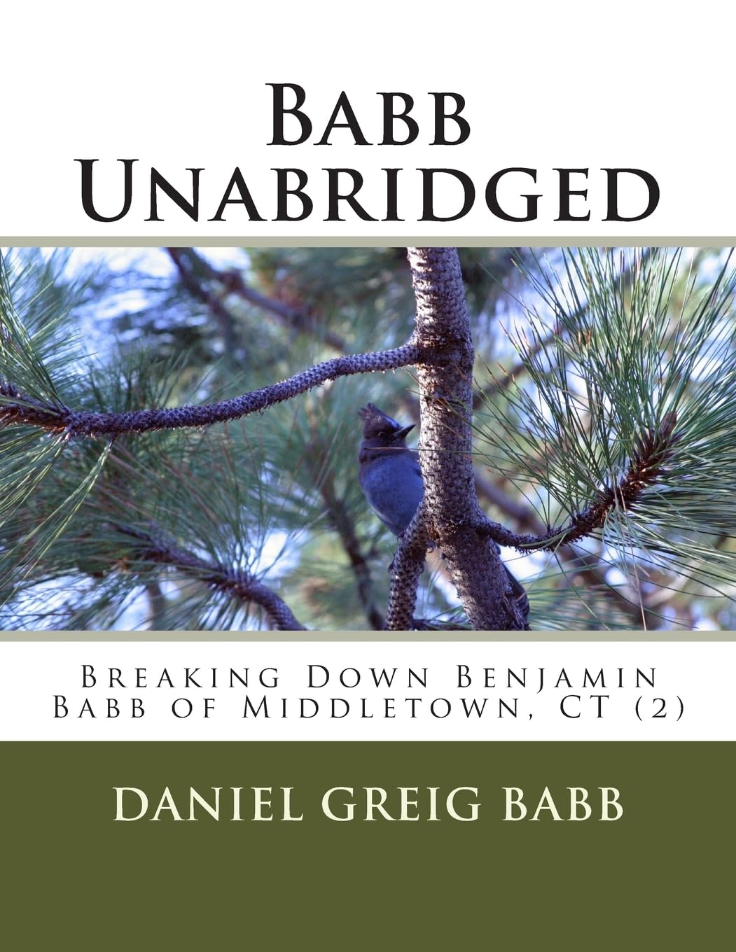 Breaking Down Benjamin Babb of Middletown, Ct