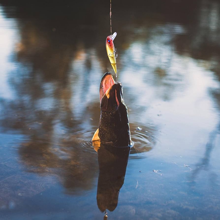 Amazon.co.jp: GIZMAC 釣り ワームセット ワーム 釣りルアー