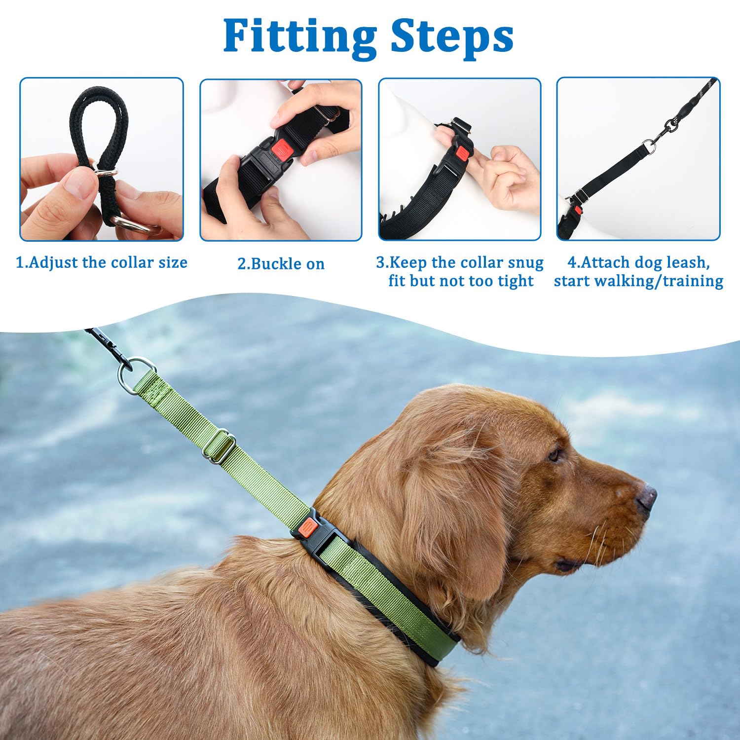 Mayerzon Pet Slip And Martingale Collars