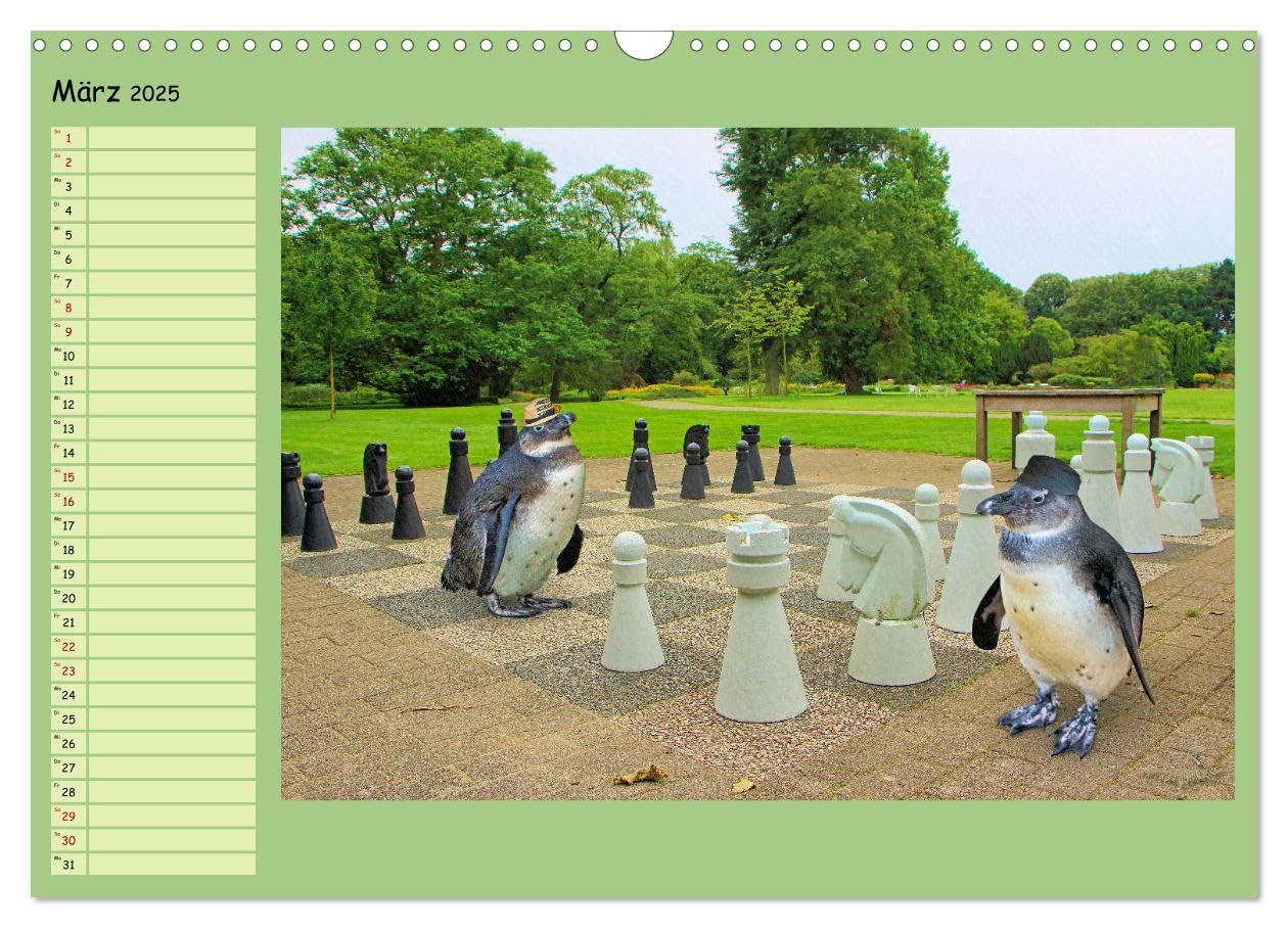 Pinguine privat Planer (Wandkalender 2025 DIN A3 quer), CALVENDO Monatskalender: Momentaufnahmen aus ihrem Alltag (CALVENDO Spass)