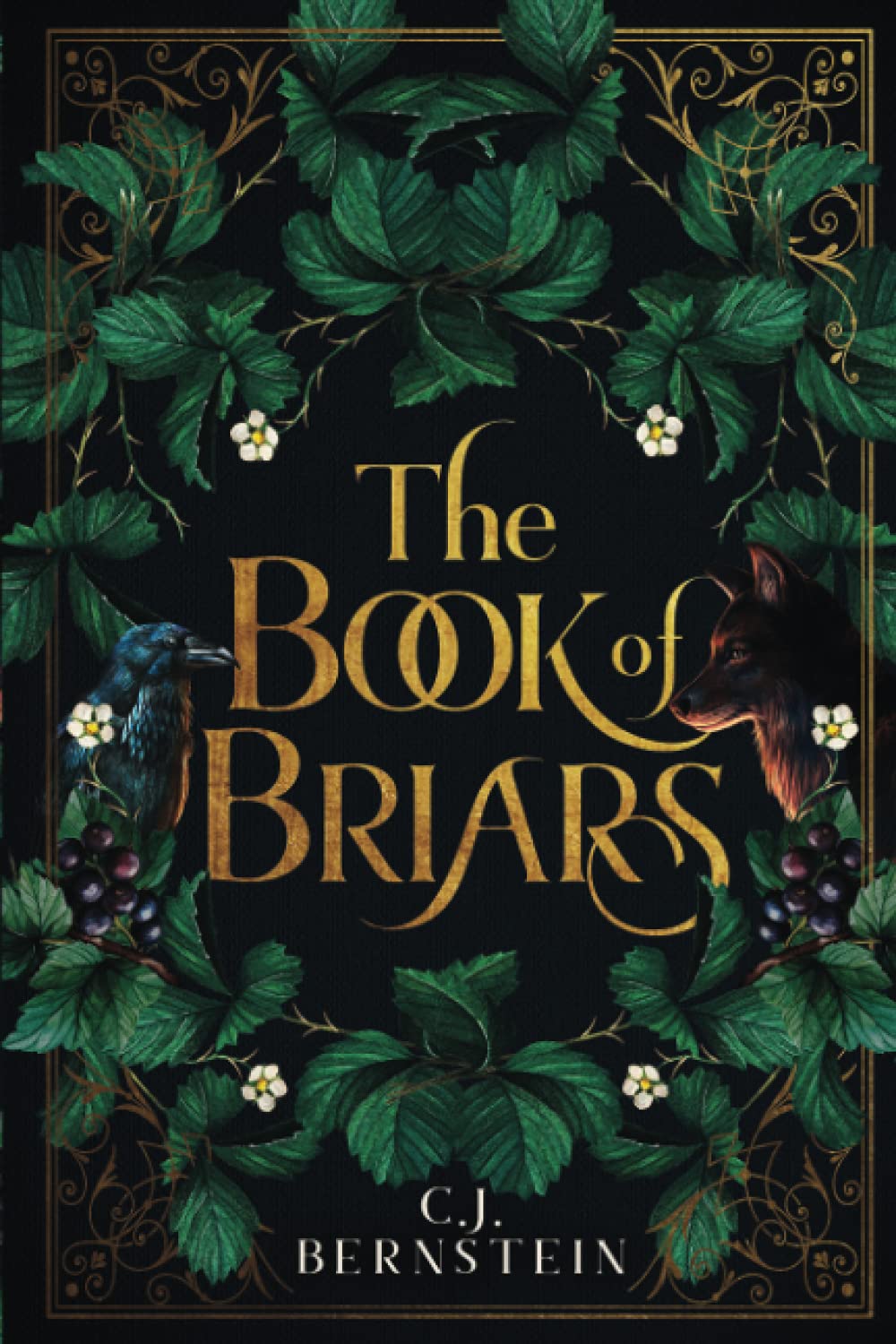The Book of Briars (The Briar Archive)