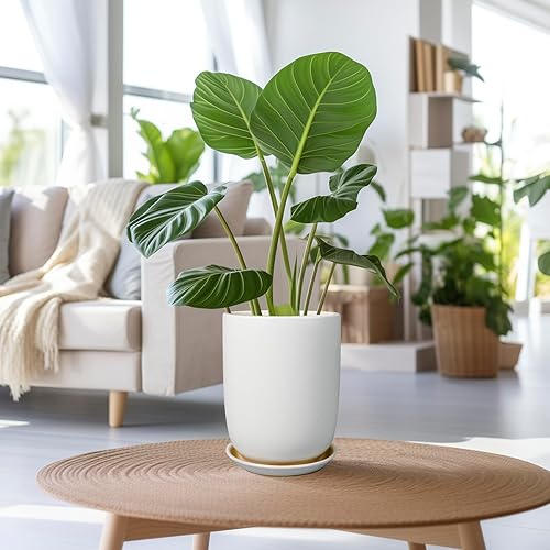 Miniatura 2 de Maceta de cerámica de 8 pulgadas para plantas de interior y exterior, maceta grande con orificio de drenaje y platillo, maceta moderna, color blanco