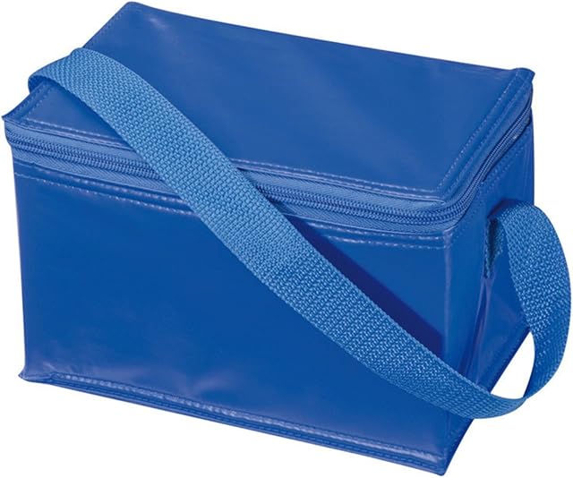 Thermal Insulated Portable Cool Canvas Stripe Lunch Picnic Totes Carry Case Bag (Small, Blue)