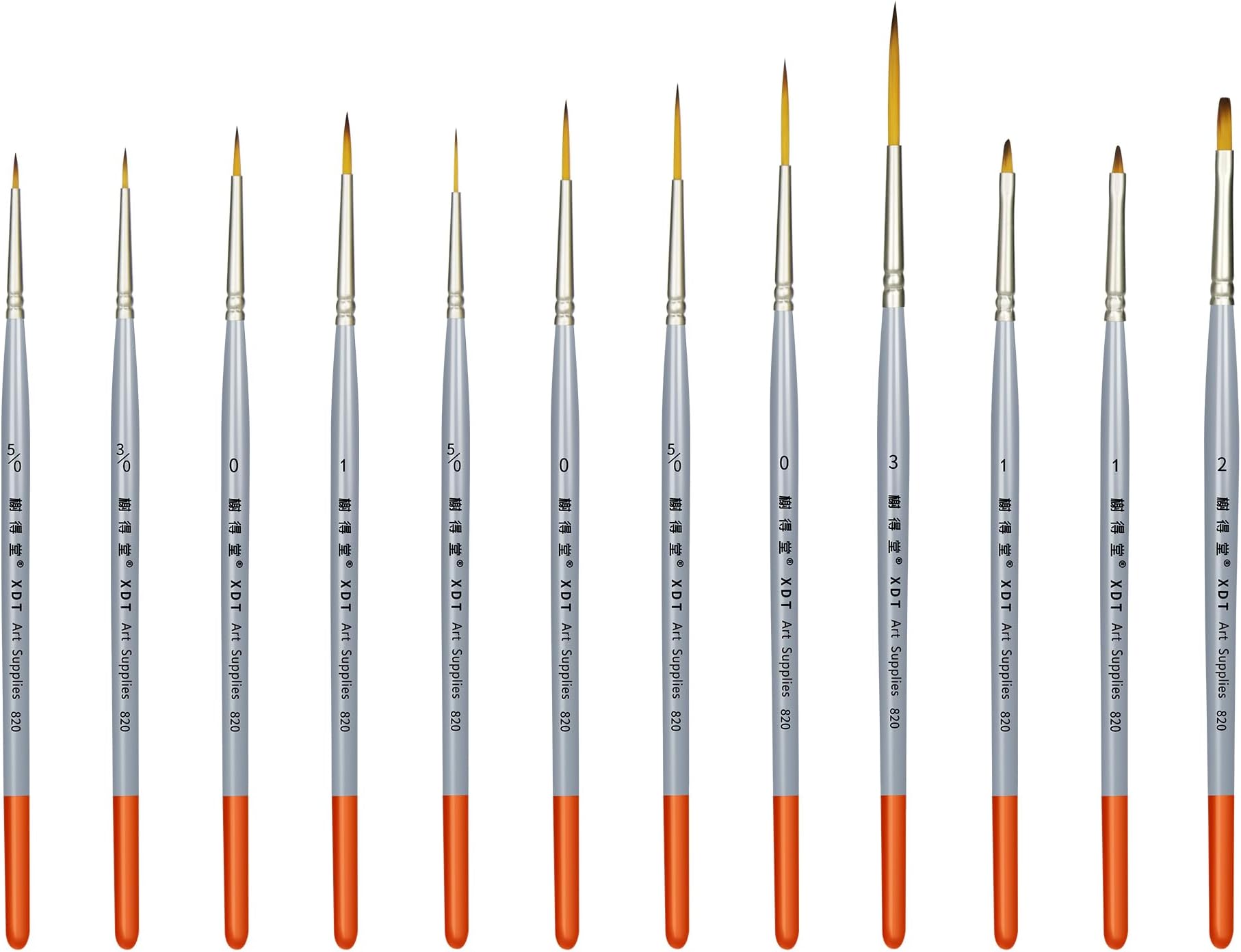 XDT#820 Detail Paint Brush 12 Piece Set for Acrylic Painting, Miniature Paint Brushes for Model Craft and Body Painting, Acrylic Oil Watercolor