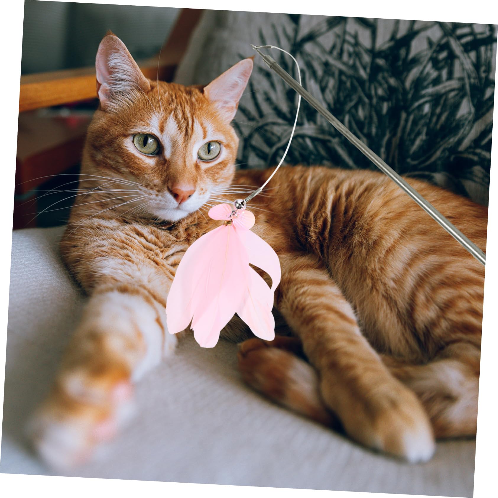 Yardwe 3stücke Pet Cat Toy Angelrute Mit Austauschbaren Köpfen Interaktives Katzenspielzeug Für Katzen Kätzchen Und Senioren Fördert Gesundheit Und Bewegung Teiliges