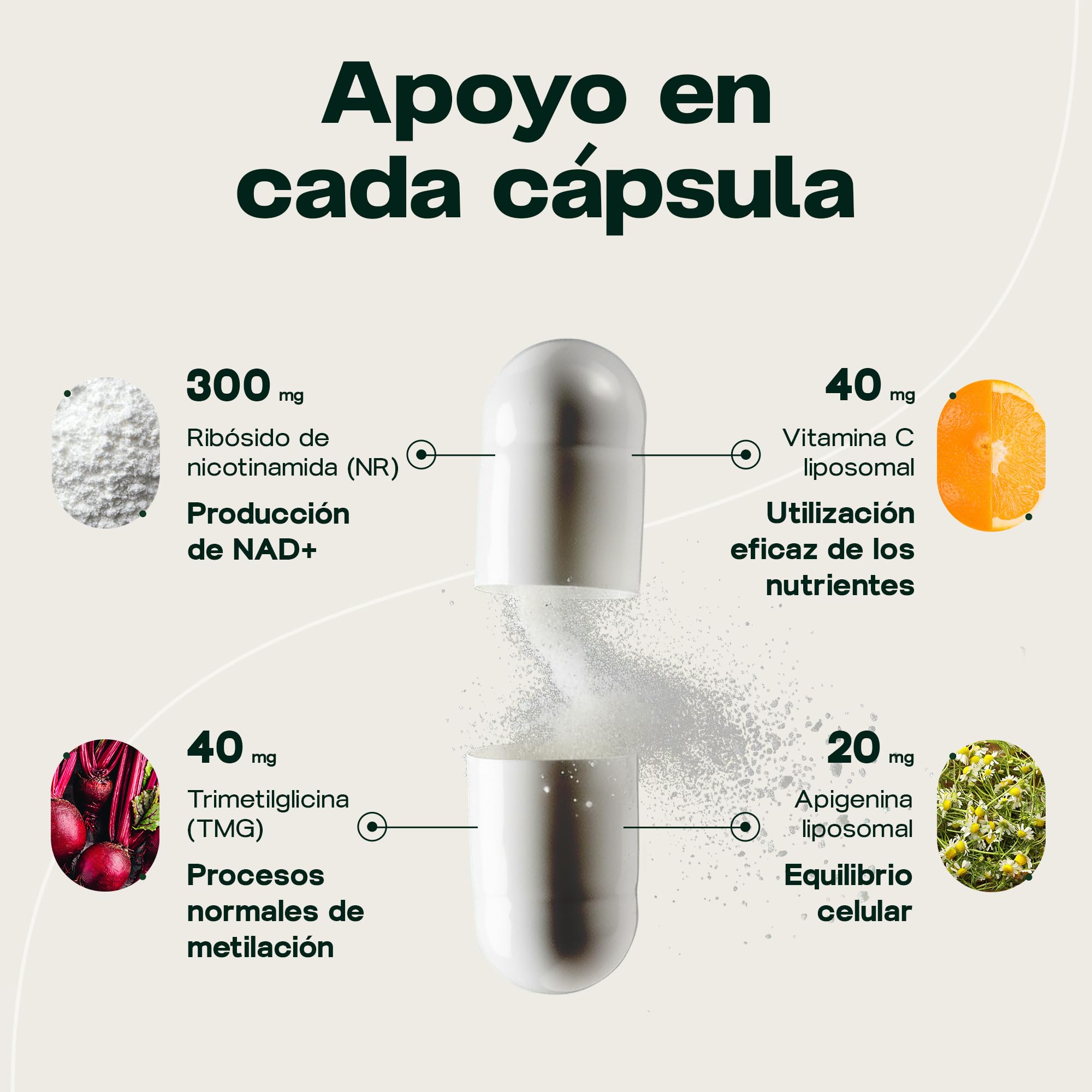 NAD+ Synergy – Envejecimiento saludable y energía celular | 400 mg de activos con NR, apigenina liposomal, TMG y vitamina C, formato 2 meses, EU