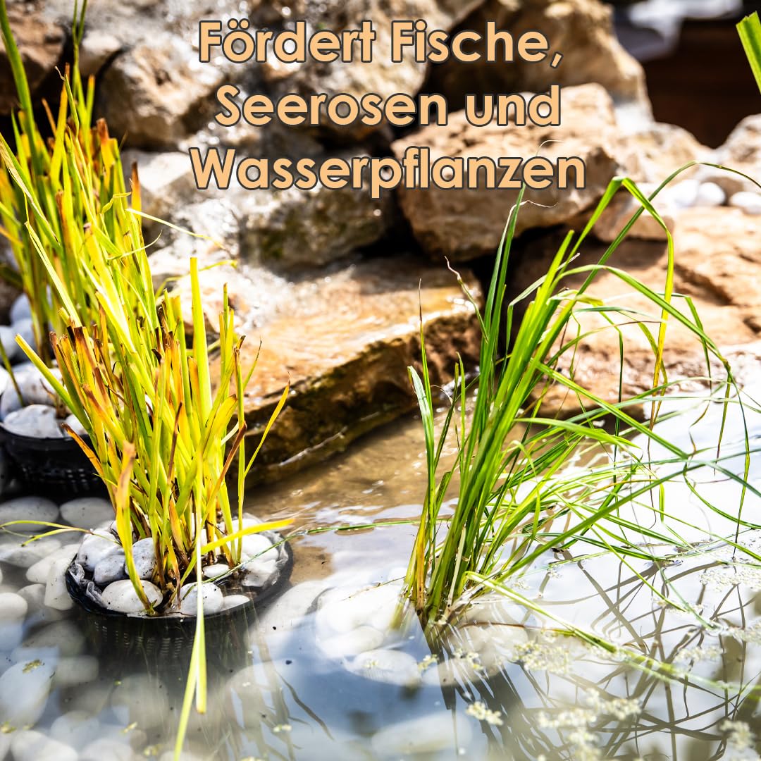 TEICH aquatop - Pflege des Wassers im Teich (2,50 kg)