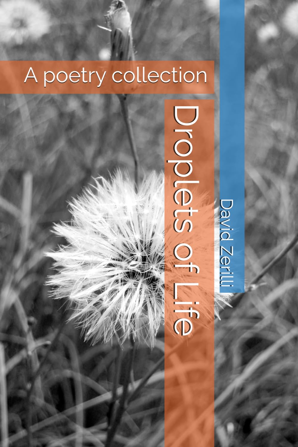 Droplets of Life: A poetry collection