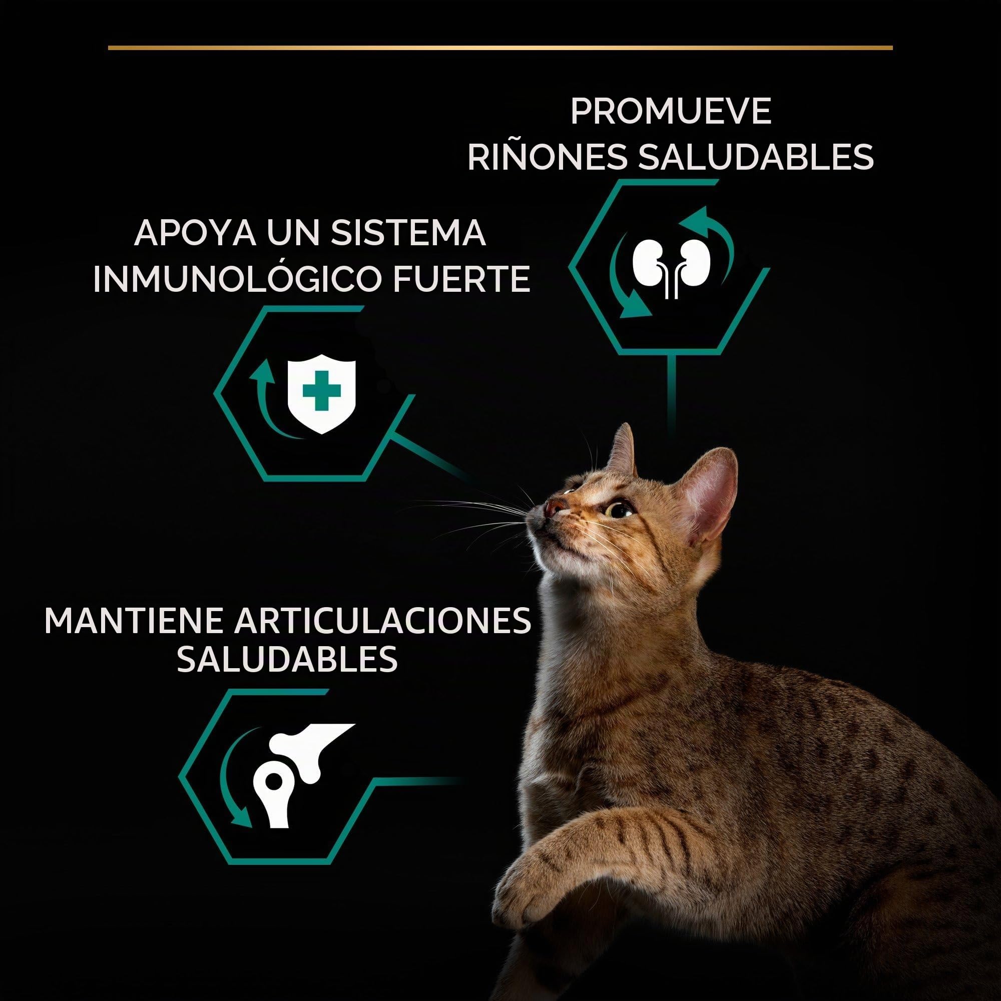 Pro Plan Pienso gato Adulto Pollo 10 kg