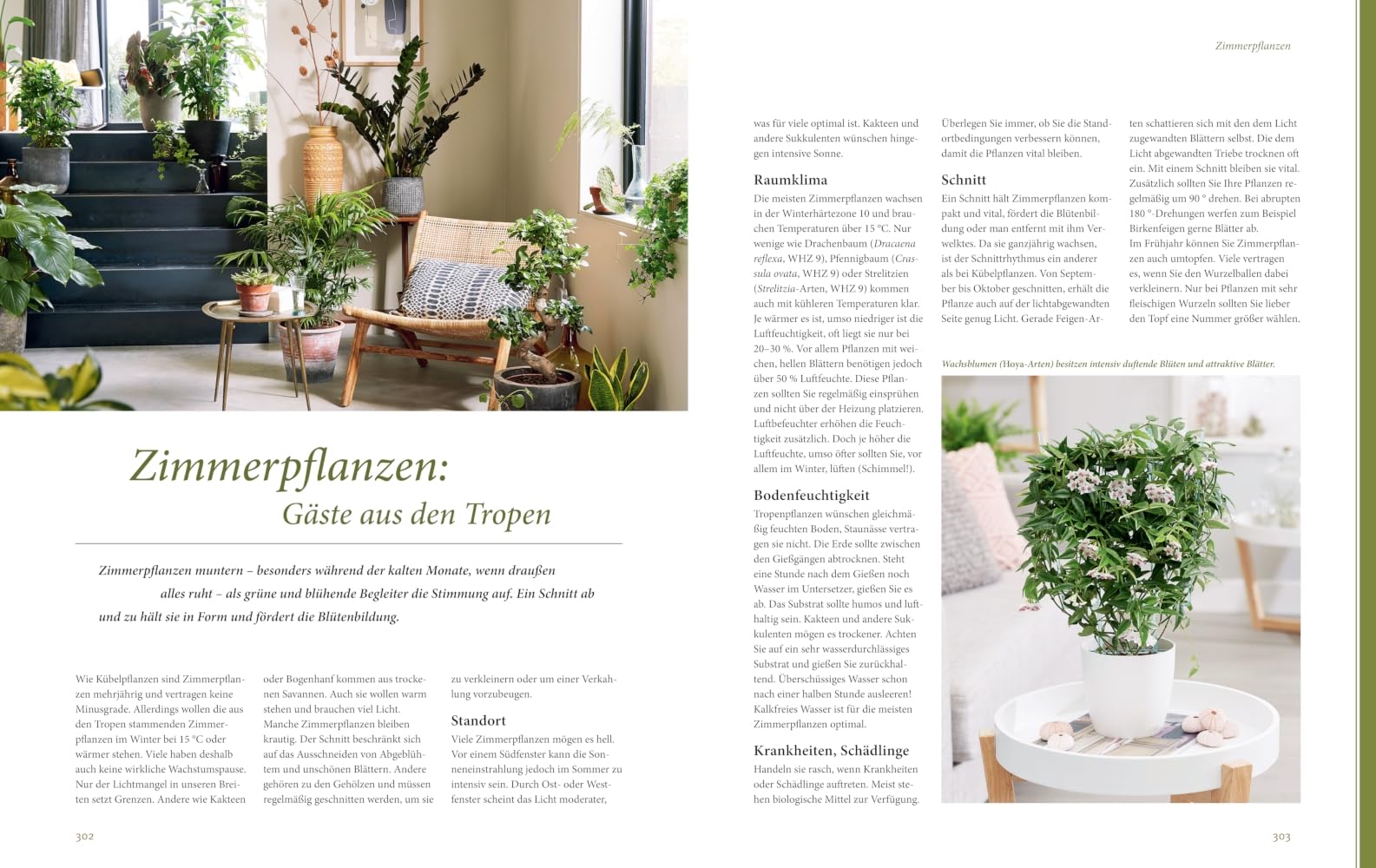 Das große GU Praxishandbuch Pflanzenschnitt: Pflanzen richtig schneiden – Tipps für Obstbäume, Ziergehölze und Stauden (GU Gartenpraxis)