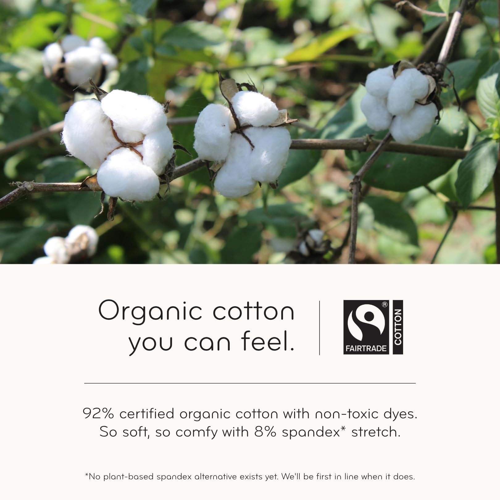 kooshoo Organic Twist – Cinta para el Pelo – la Enso Algodón orgánico, Sweat-Wicking Yoga pañuelo para la Cabeza, ética, Fabricado en EE. UU.