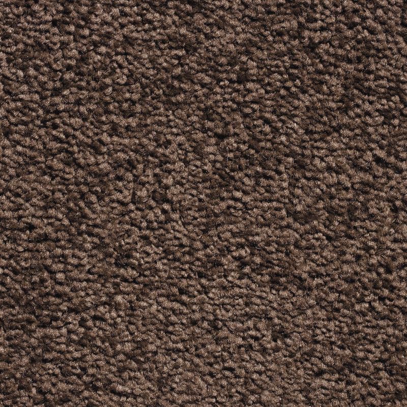 Tuda Carpet | Serene 10mm Pile Saxony Carpet with Action Backing, 12mm Total Height | Chocolate (192) - 4m x 5m (13ft1" x 16ft4") โ image 1