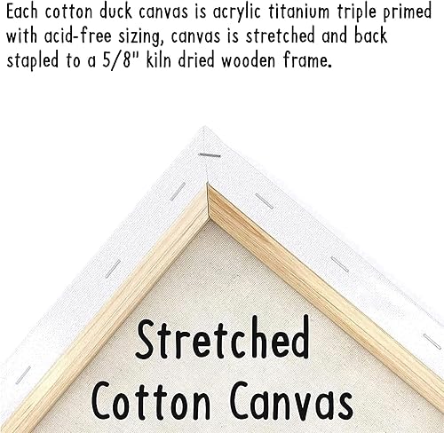 Miniatura 8 de INDIGO ART STUDIO Lienzo acrílico predibujado de 8 x 10 pulgadas, paquete de 8 unidades de actividades artísticas de pintura de reinas, 12 colores