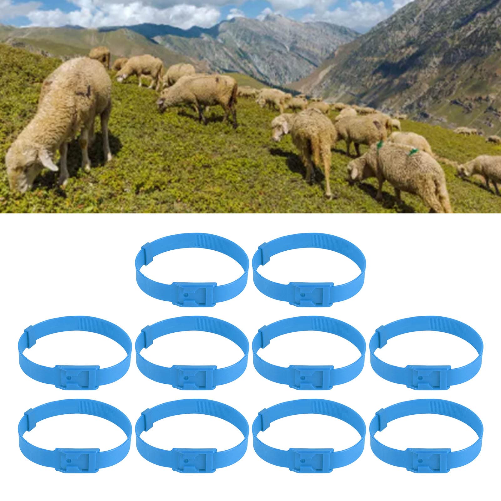 Collier Identification Couleur 23 Pouces en PU Réglable pour Vache Cheval Mouton Chèvre Bétail Ferme Élevage Surveillance Santé Suitable for Adulte et Jeune Animal
