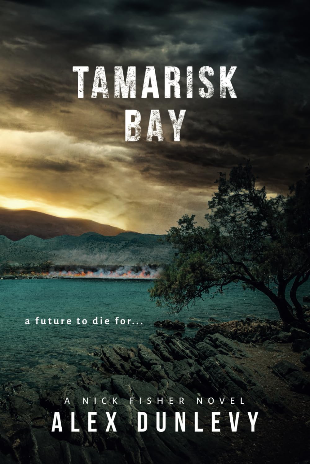 Tamarisk Bay: 4 (Nick Fisher Novels)