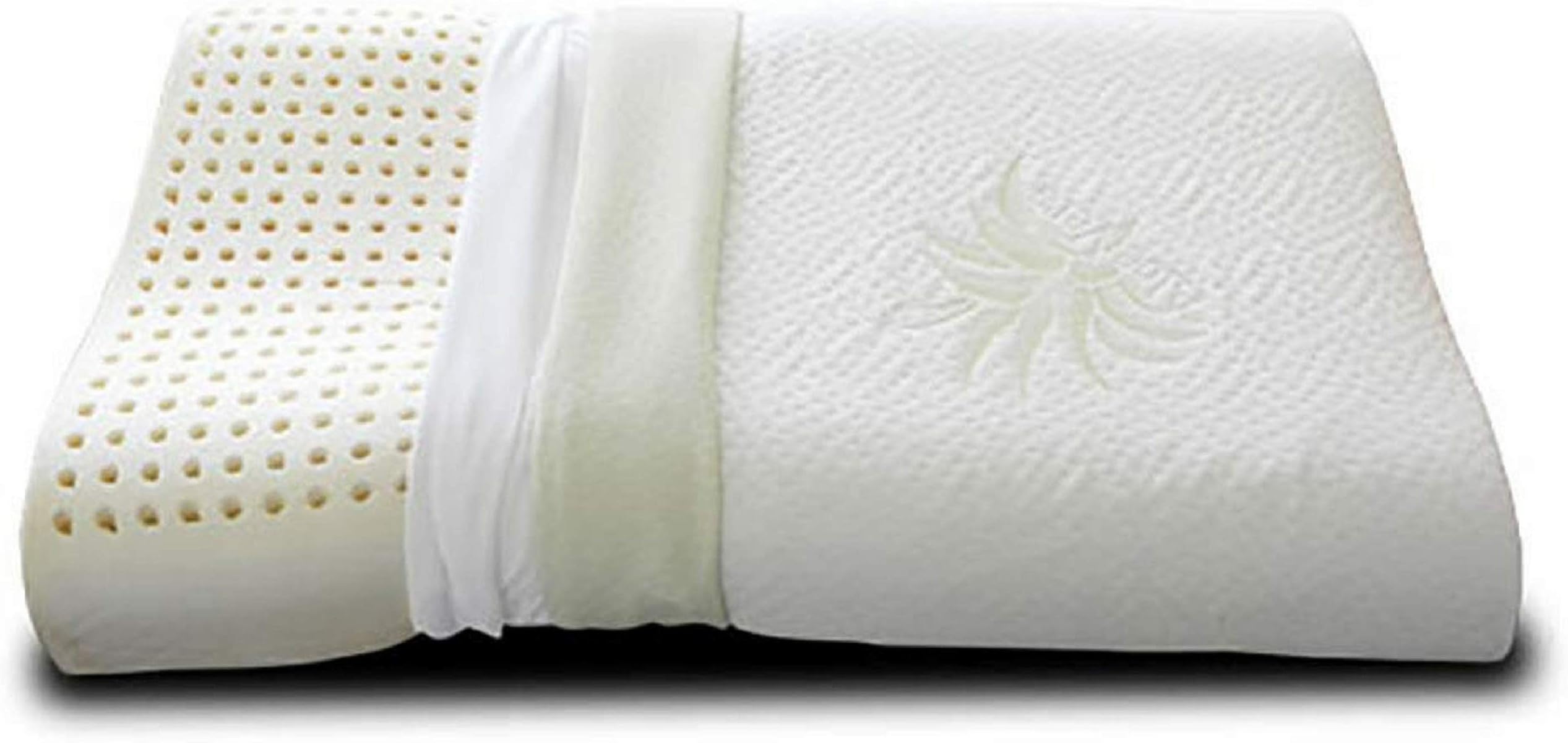 Federa Per Cuscino Da Viaggio In Aloe Vera 24x40 Cm - Ipoallergenica, Delicata Sulla Pelle, Lavabile In Lavatrice, Con Cerniera