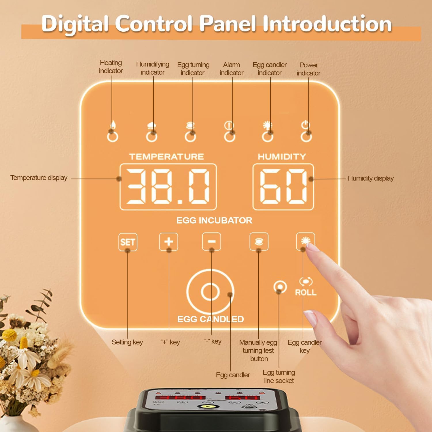 Incubadora de huevos con control de temperatura, giro automático y pantalla LED para incubar huevos de aves de corral