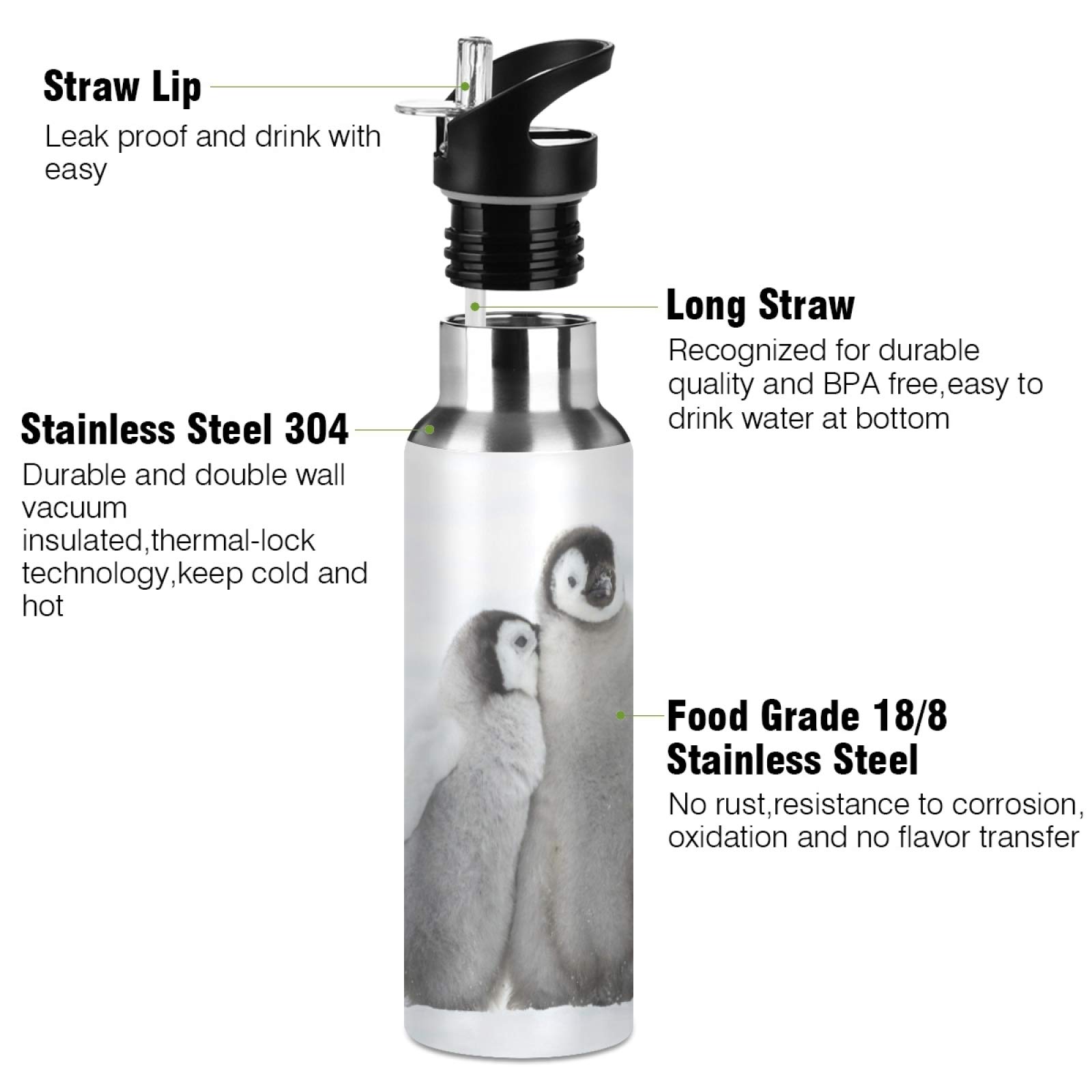 JUMBEAR Snow Penguins Water Bottle Acuum Insulated Stainless Steel Leakproof Wide Mouth with Straw Lid for Fitness Gym and Outdoor Sports 22OZ - Image 3