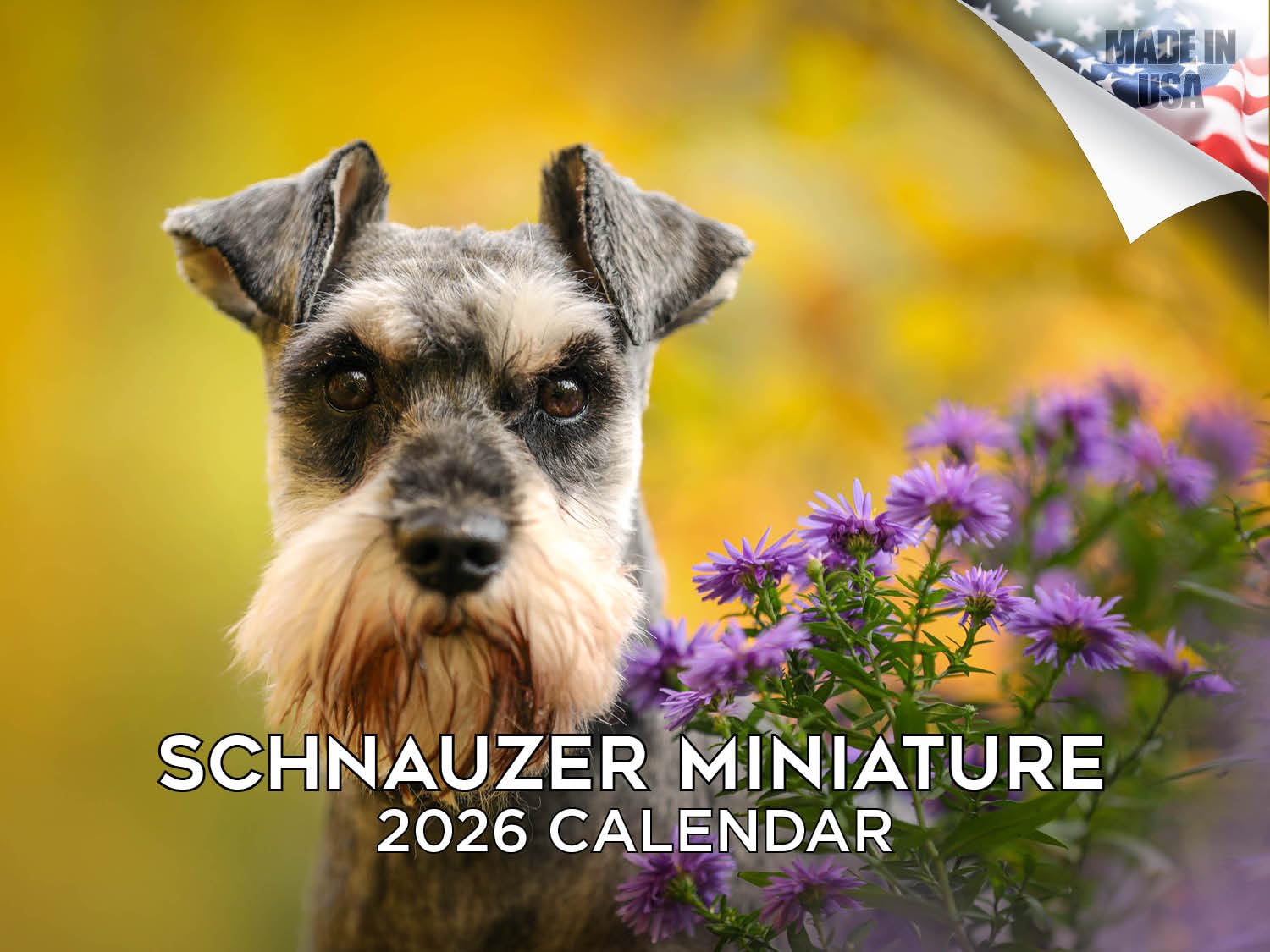 Calendario 2024 2025 Schnauzer in miniatura, calendario mensile da parete con razza di cane, 30,5 x 45,7 cm, aperto, carta spessa senza sbavature, idea regalo, calendario per insegnanti accademici,