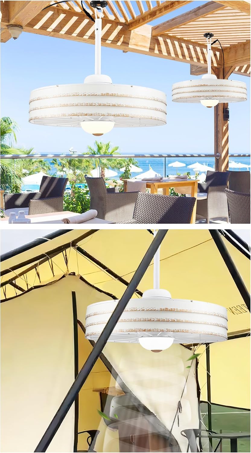 24" Outdoor Gazebo Fan with Dimmable Light and Memory Remote, Plug-In Wet Rated Outdoor Caged Ceiling Fan, Snow-Mountain Outdoor Hanging Fan For Gazebo, Patio, Waterproof