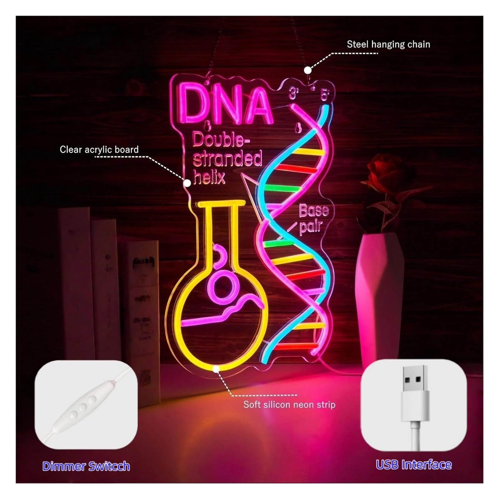 XENITE Luci al Neon Da Parete DNA Double Stranded Helix Insegna Al Neon Luce LED Dimmerabile Per Club Del Libro Aula Lettura Angolo Sala Giochi Arredamento Camera Da Letto 42cmx28cm