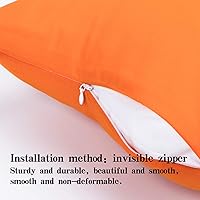 Vista 4 de NTBAY Juego de 2 fundas de almohada con cremallera para niños pequeños, 100% microfibra cepillada de 13 x 18 pulgadas, súper suaves y acogedoras