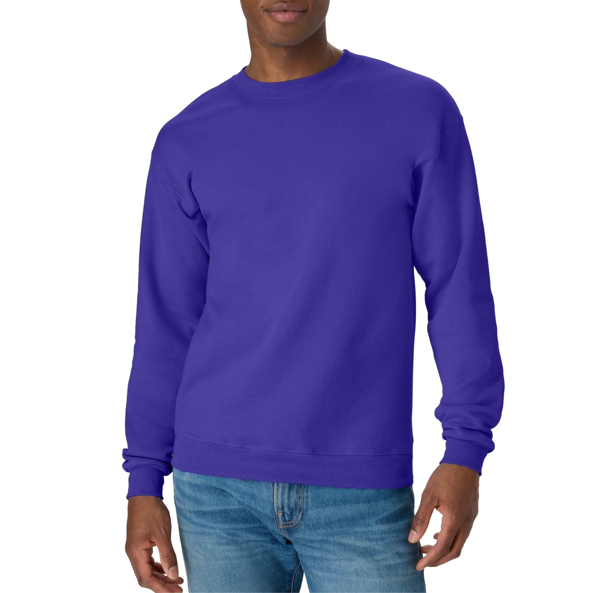 Hanes Men's Purple Ecosmart Sweatshirt, S