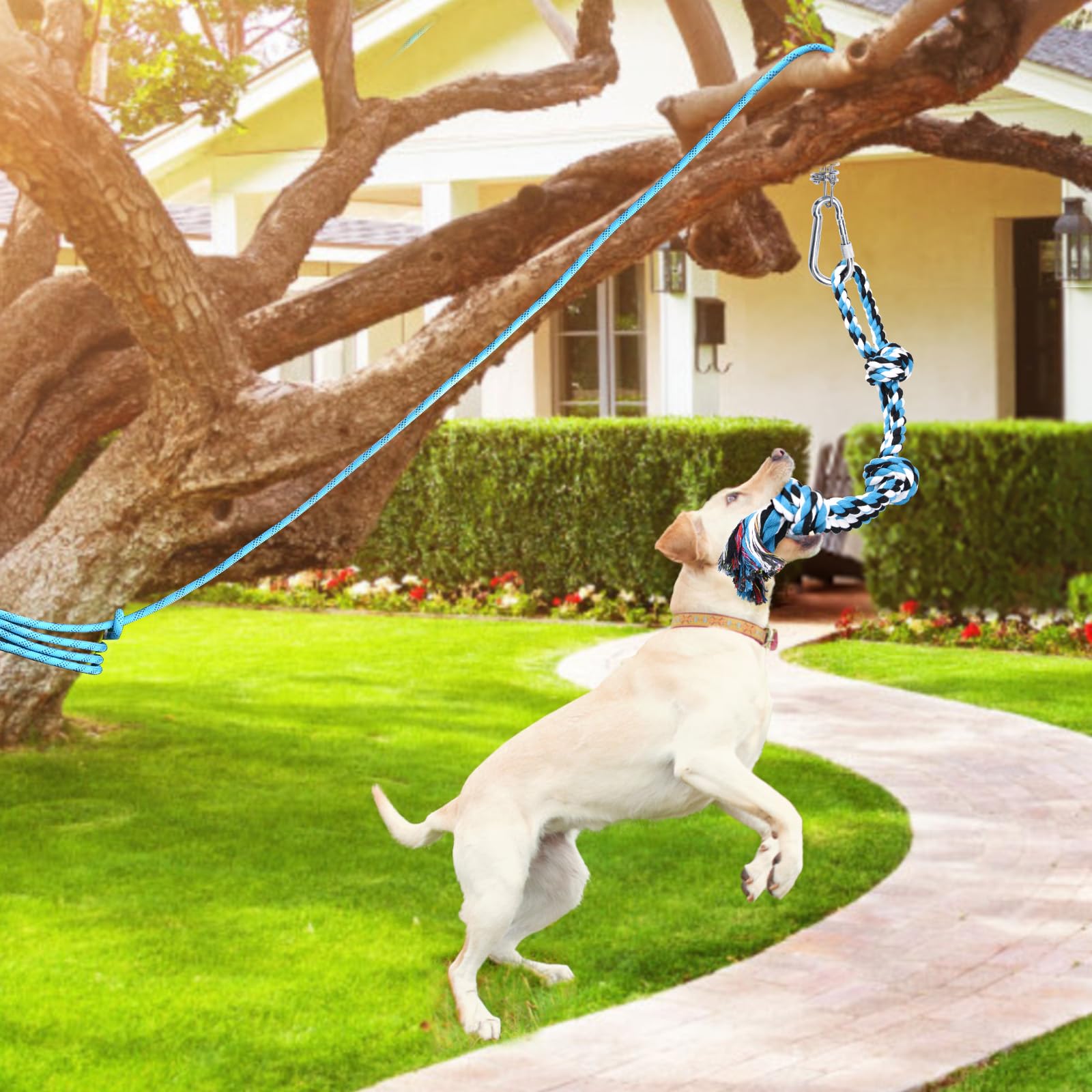 Pet Supplies : LOOBANI Spring Pole Toy for Pitbull: Bungee Tug of