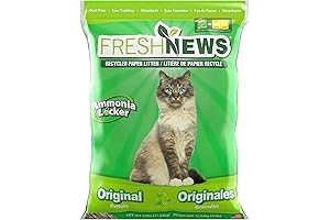 Fresh News Original Scent 25-Pound Recycled Paper Cat Litter
