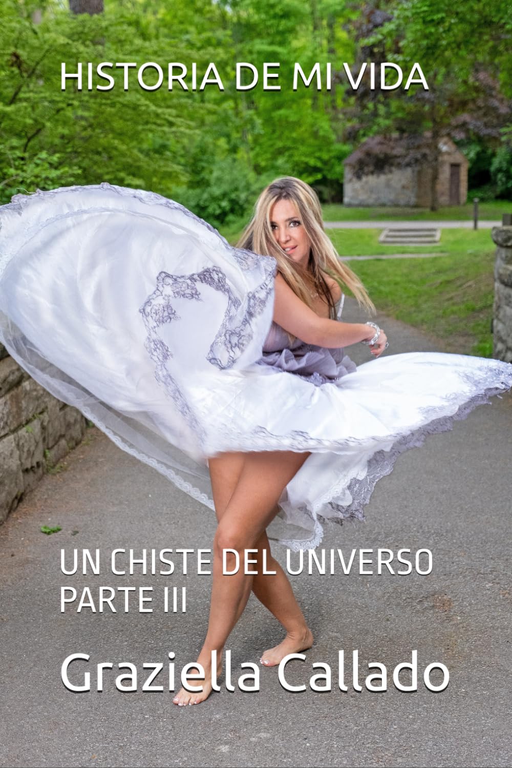 HISTORIA DE MI VIDA: UN CHISTE DEL UNIVERSO PARTE III