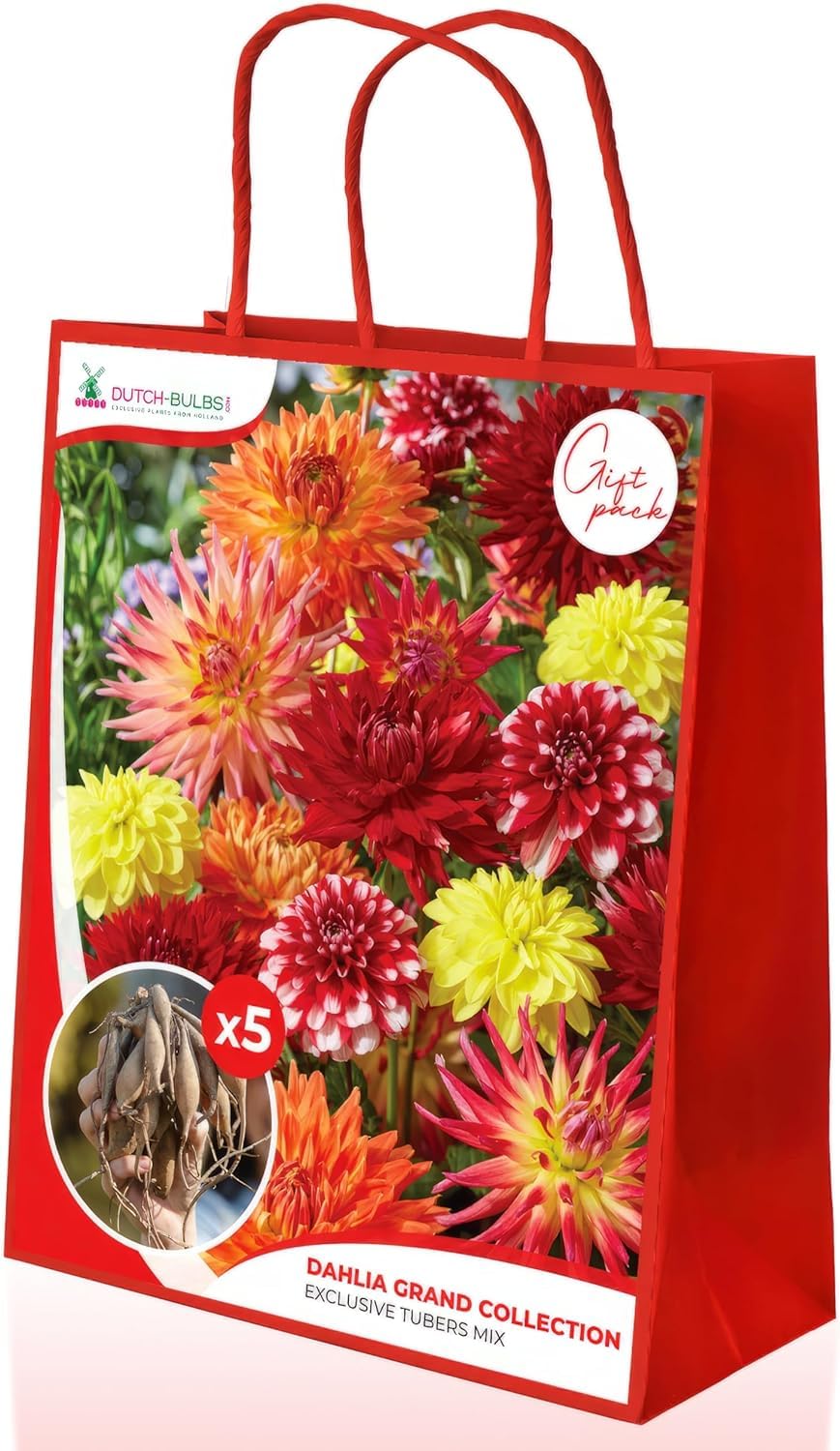 Dahlia Tubers Grand Collection, paquete de regalo con mezcla de 5 variedades de bulbos de dalia de Holanda, mezcla exclusiva de tubérculos de dalia para jardín y macetas(sin semillas, no artificiales)