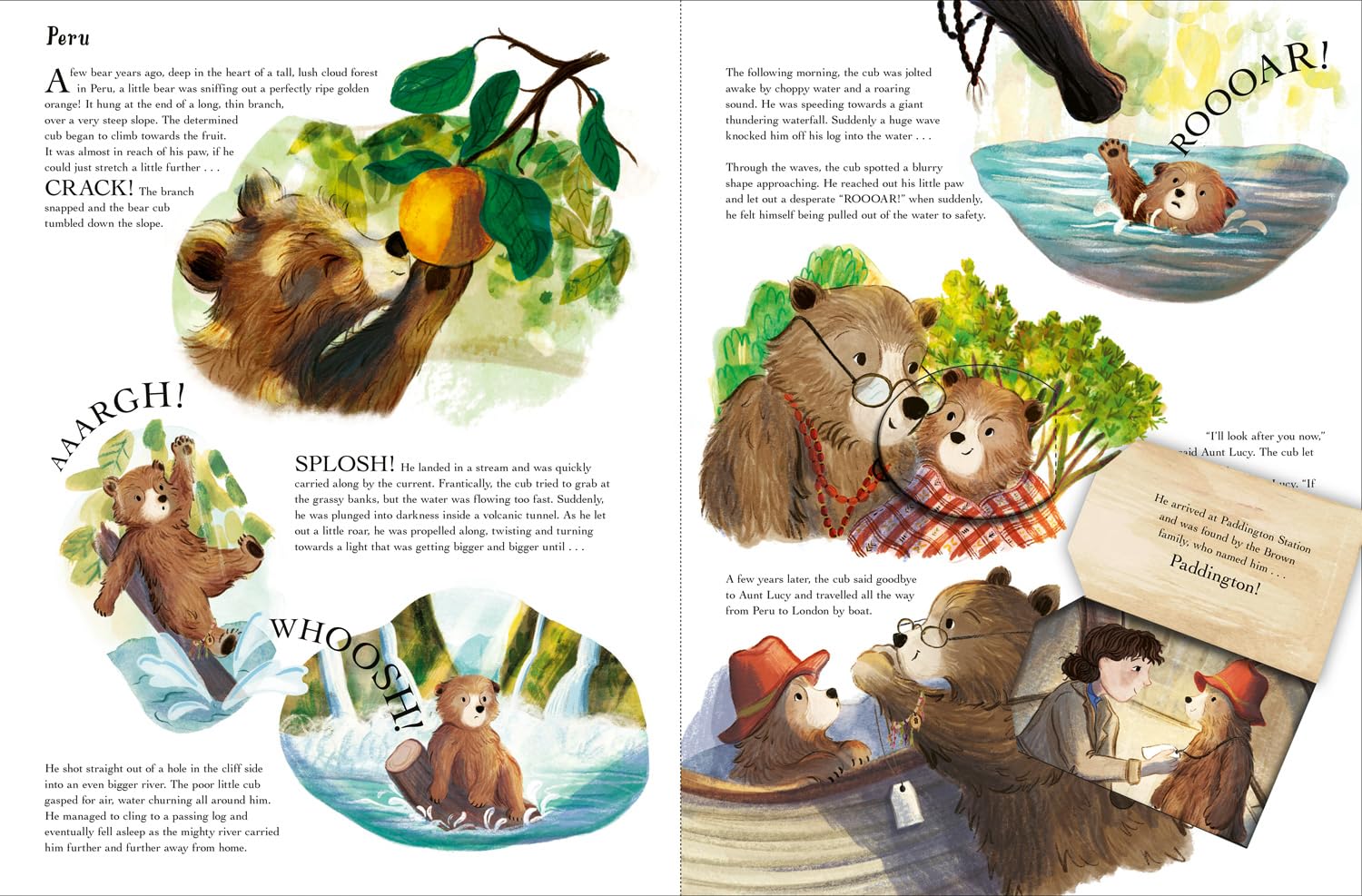 Paddington in Peru: The Jungle Quest: A stunningly illustrated gift book based on the smash-hit new family movie, Paddington in Peru!