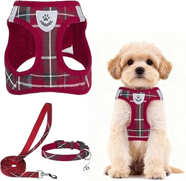 PUPTECK Dog Harness, Collar and Leash Set No Pull for Small Medium Sized