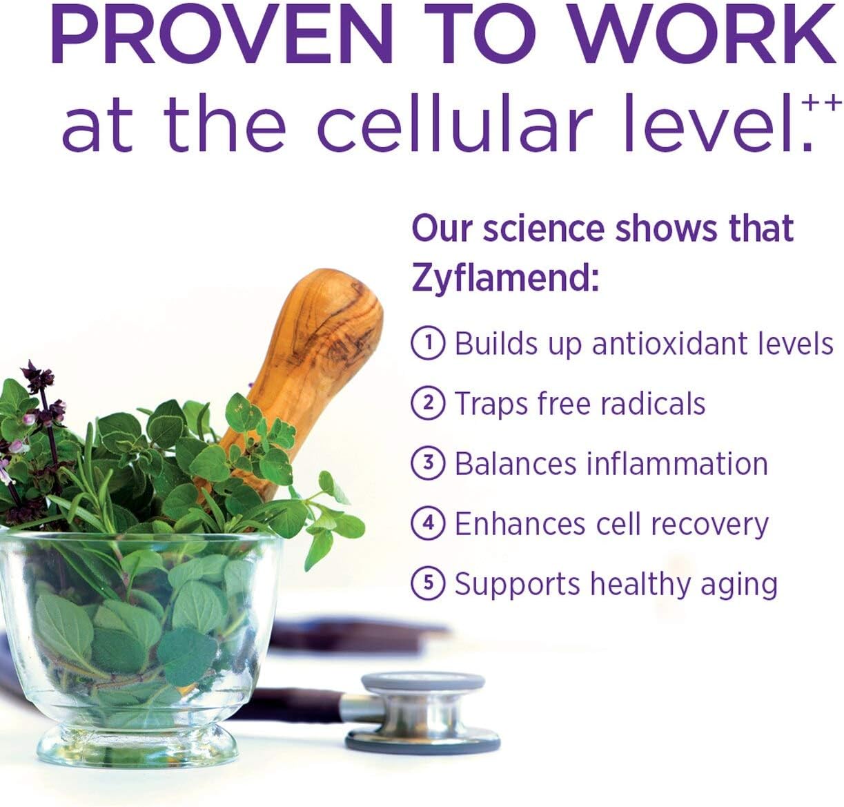 New Chapter Zyflamend Whole Body, with Turmeric and Ginger - 120 ct by New Chapter