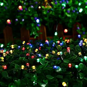 best outdoor Christmas lights to buy