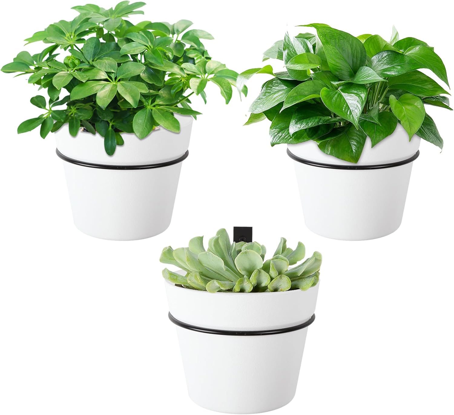 3 Pack Wall Hanging Planters Indoor Outdoor 6.3 Inch Self-Watering Flower Pots with Leak-Proof Drainage Iron Brackets Hanging Basket Room Garden Decor(Black)