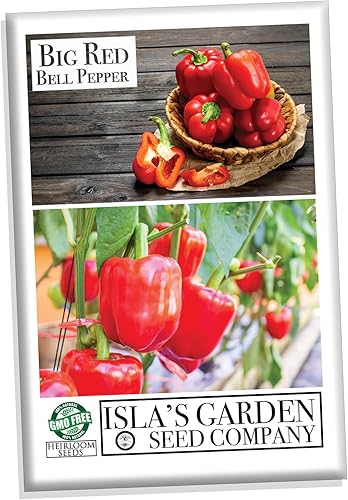 Miniatura 2 de Semillas de pimiento rojo grande para plantar, más de 50 semillas tradicionales por paquete, semillas de jardín de Isla (semillas de jardín de