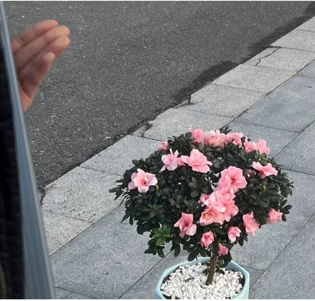 DIY Adjustable PP Window Screen Mesh, 78.74"x236.22" Breathable Easy Install for Doors Windows, Black