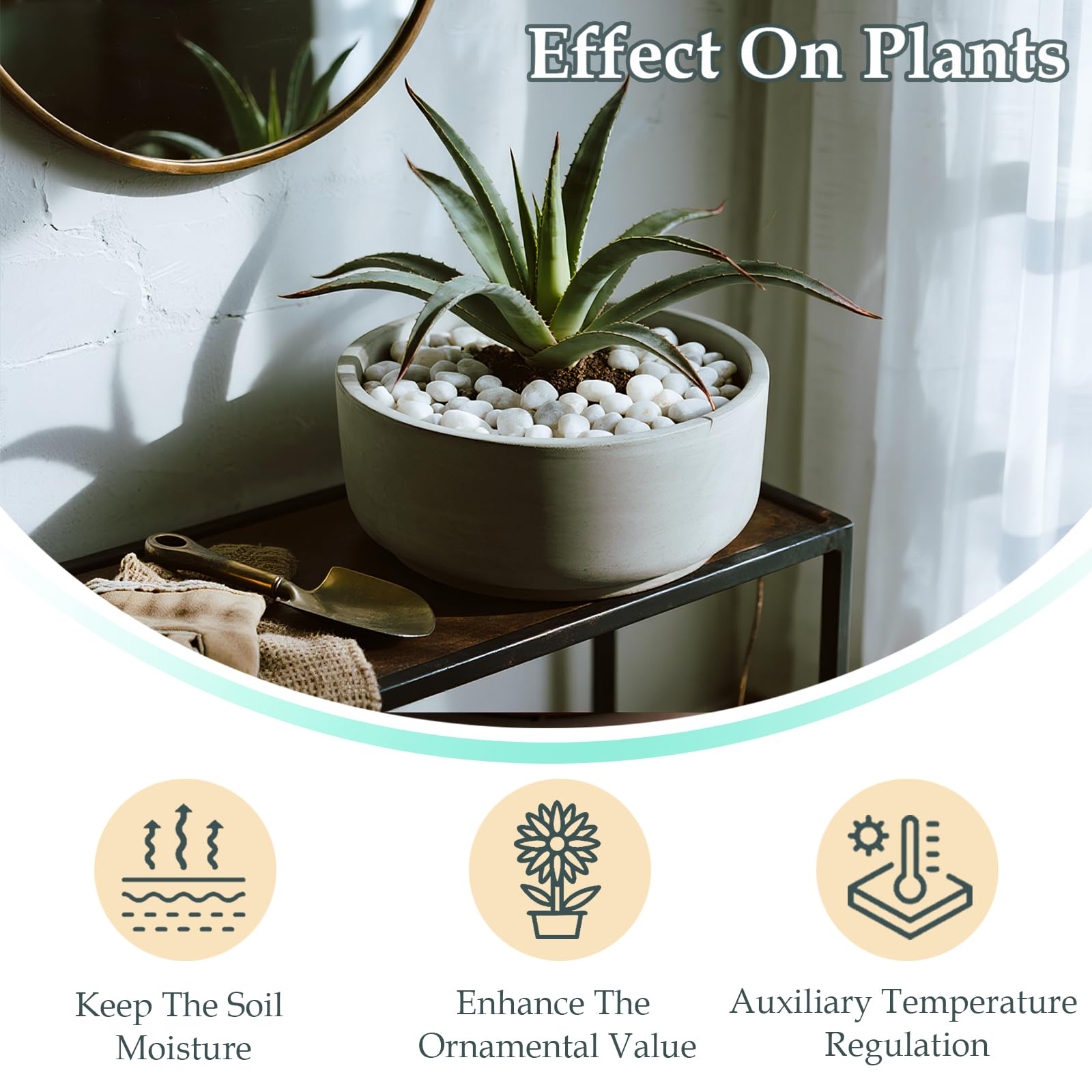 2000g Galets Naturelsdecoratif Poli, 1-3 cm Petit Cailloux Decoratif pour Plante, Galets de Rivière Pierres Polies Décoratives Naturelles pour Aquarium Vase Jardin Plantes (Blanc, 1-3 cm)