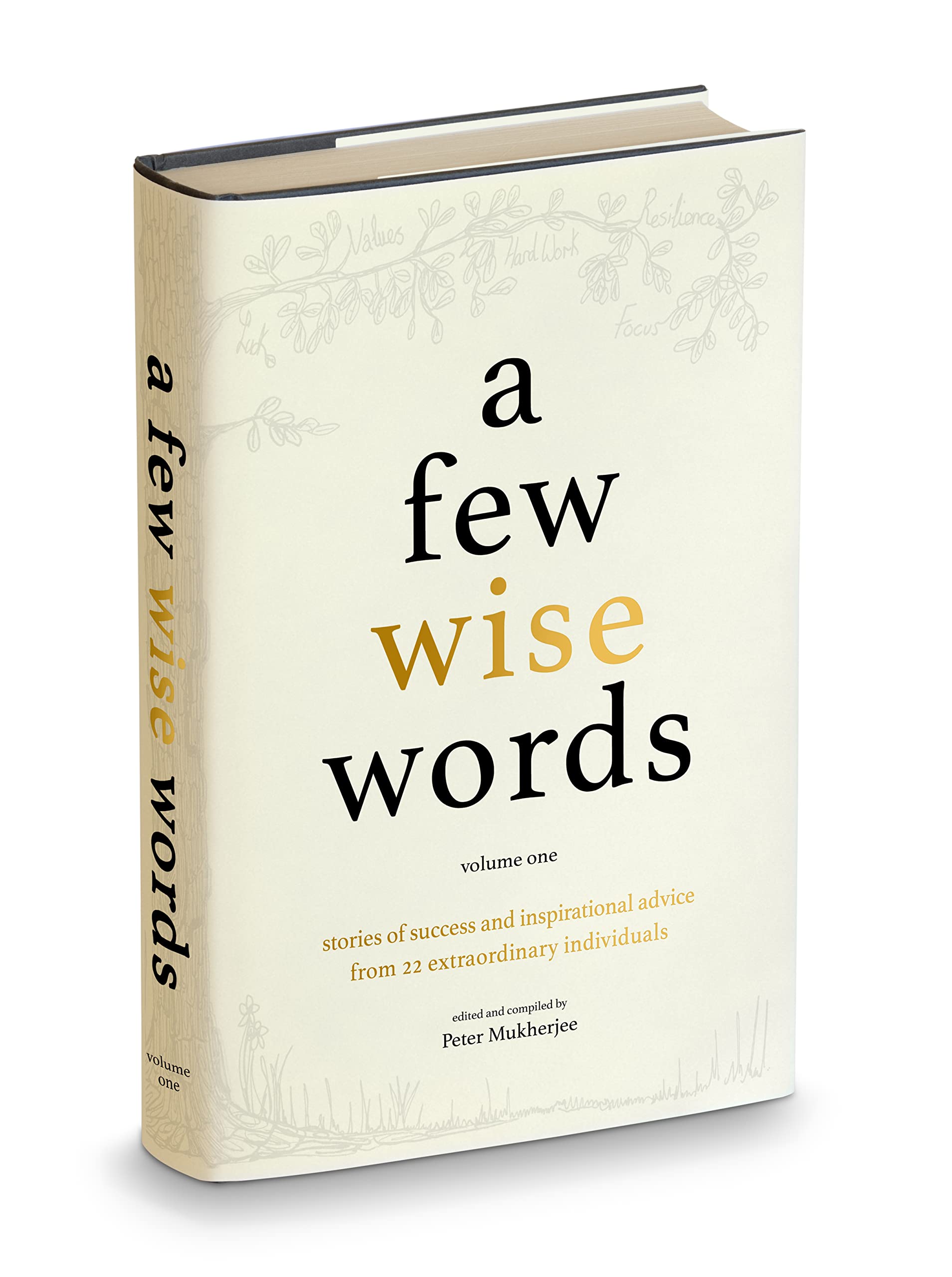 A Few Wise Words: Stories of Success and Inspirational Advice from 22 Extraordinary Individuals