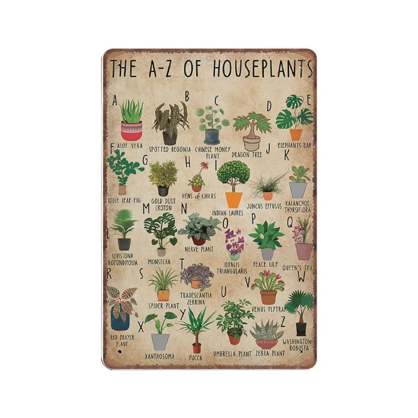 Daiercy Material_tin 1 Garden Knowledge Tin Signs, Gardening Plant Mom Gift, Funny Vintage Metal Sign Plaqu Poster Wall Art Pub Bar Kitchen Garden Bathroom Home Decor, 140X200 Mm