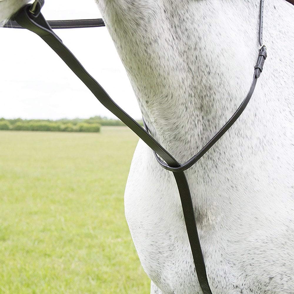 Shires - Muta di marcia