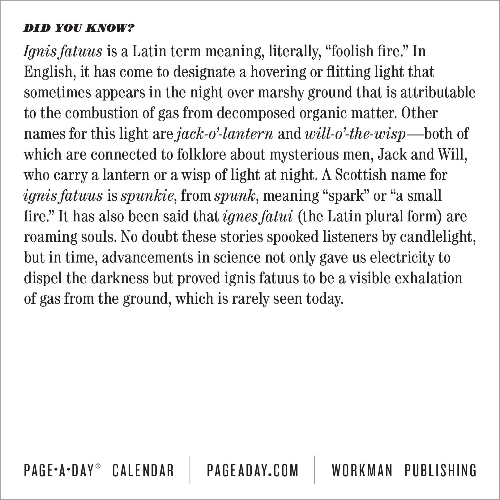 snapklik-365-new-words-a-year-page-a-day-calendar-2024-from-the